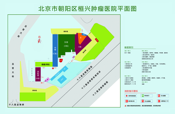 操逼网站免费网站北京市朝阳区桓兴肿瘤医院平面图